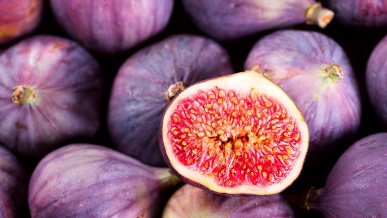 Fig-Background